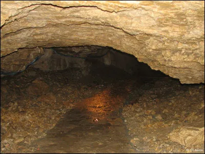 La sambuque &eacute;tait une machine de guerre. C'&eacute;tait...