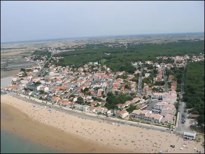 Un des noms vulgaires du fruit de la ronce des buissons est...