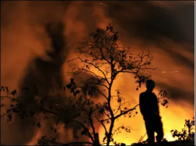 Quel est le qualificatif d'un individu fasciné par le feu et qui provoque lui-même des incendies ?