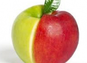Test Pomme rouge ou pomme verte ?