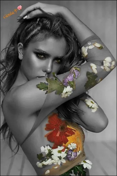 Aux États-Unis, que sont les "Painted Ladies" ? (photo décorative)