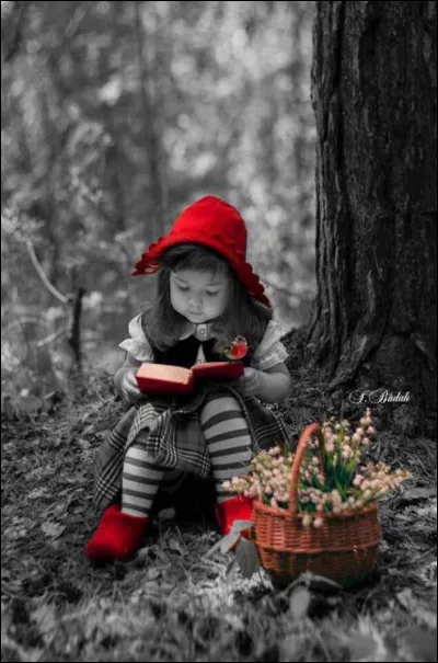 Dans quel dessin animé rencontre-t-on Lady ?