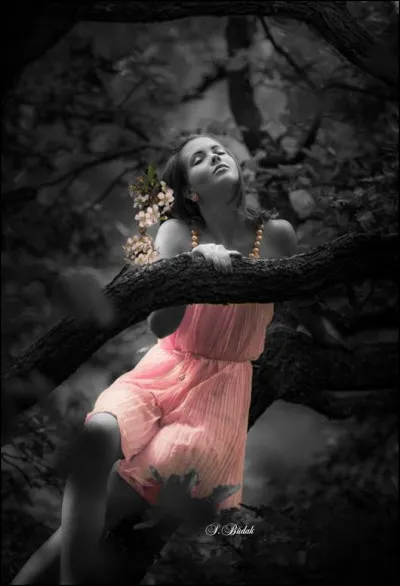 Que signifie "Pink Lady" ?