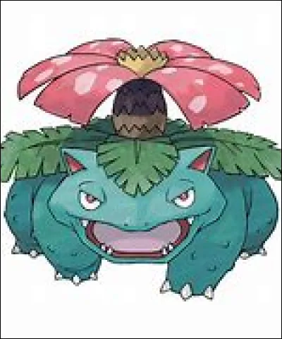 Qui est ce Pokémon ?