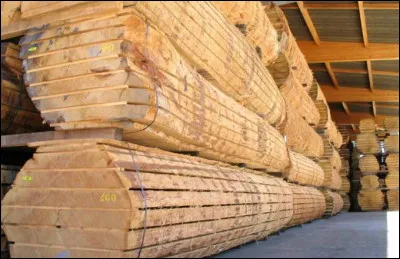 En un mot comme en une image !