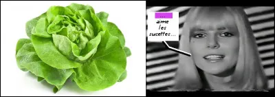 Mais qu'est-ce que c'est que cette salade ?