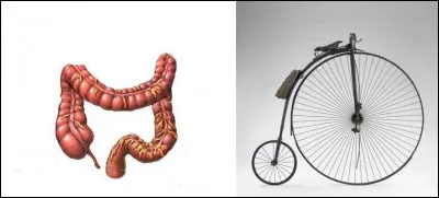 Celui-ci est un peu fort de cafter !