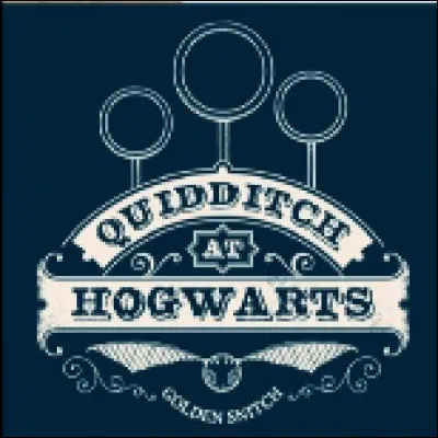 À quoi sert le Souaffle ?