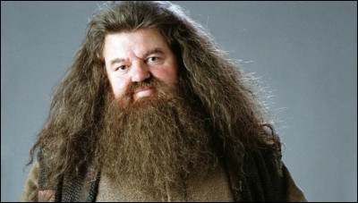 Comment se nomme l'acteur de Rubeus Hagrid ?