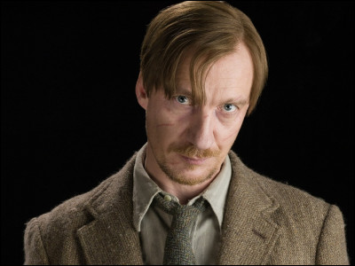 Comment s'appelle l'interprète de Remus Lupin ?