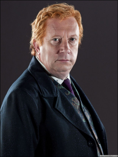 Et enfin, pour finir sur une note joyeuse, quel est l'acteur d'Arthur Weasley ?