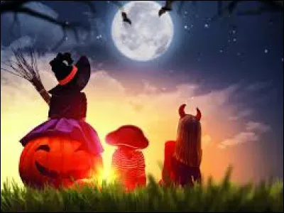 Que préférez-vous faire le jour d'Halloween ?