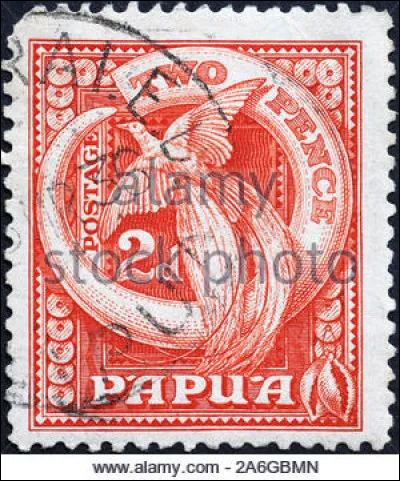 L'oiseau devrait vous guider !