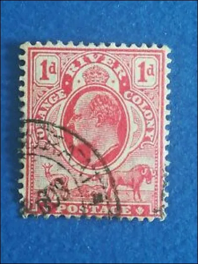 Indice : Parc national Kruger !