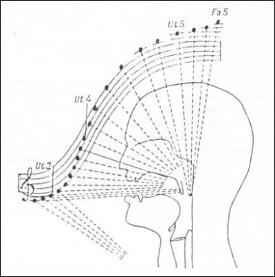 Quel bois dtient la plus large tessiture de notes ? (le plus de notes entre autres)