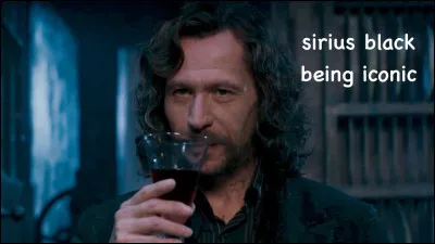 Lequel de ces 2 personnages n'est pas un animagus ?