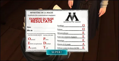 Que veut dire B.U.S.E en langage de sorciers ?