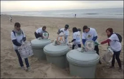 Quand tu vois des déchets sur la plage, comment réagis-tu ?