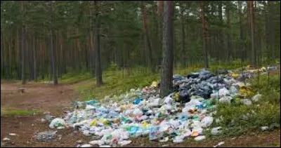 Quand tu vois cette image :