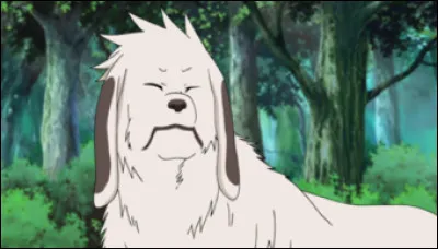 Dans "Naruto", Akamaru pèse 5 kg combien pèse-t-il-dans "Naruto Shippuden" ?