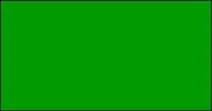 La Lybie possde le seul drapeau monochrome au monde. Sa couleur verte renvoie  la  rvolution verte  prne par le prsident Kadhafi. Le vert est aussi la couleur de l'Islam et reprsente :