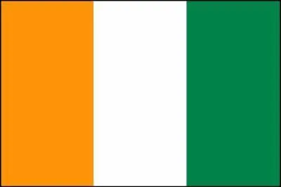 La couleur orange du drapeau ci-dessous symbolise le combat et le sang vers par le peuple ; le vert, l'espoir ; le blanc, un trait d'union pour la paix. Ce drapeau est celui de :