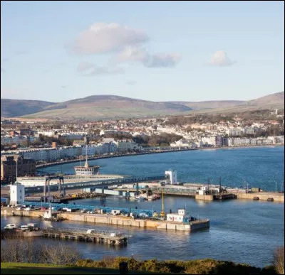 Barry, Robin et Maurice Gibb sont tous les trois nés à Douglas sur l'île de Man. À quel groupe de musique très connu appartenaient-ils ?