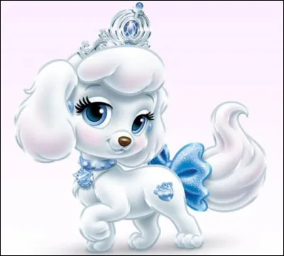 Ce chiot couleur neige est éblouissant. Il ne peut s'agir que d'une personne, qui est :