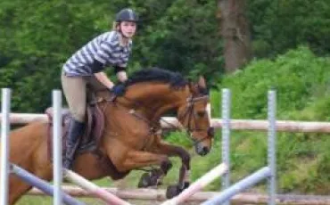 Quiz Galop 4