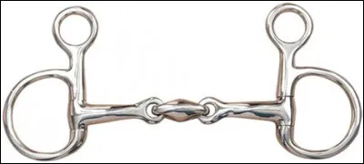 Comment s'appelle ce type de mors ?