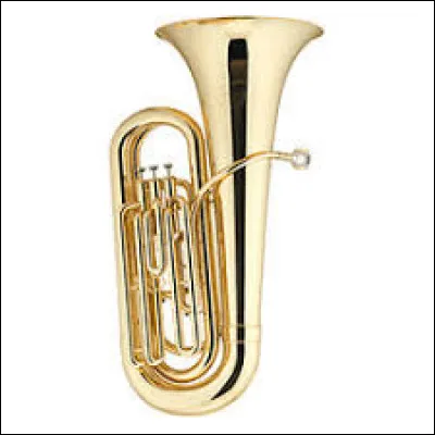 À quelle catégorie d'instruments, le tuba appartient-il ?