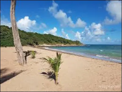 Douce nuit, Sainte-Rose ! Où se situe cette ville ?