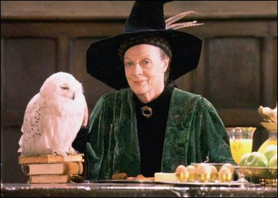 4) Minerva McGonagall : Quand elle était à Poudlard, McGonagall était joueuse dans l'équipe de Quidditch de Gryffondor, mais pourquoi a-t-elle arrêté ?