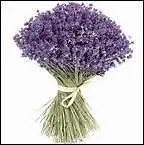 Quel est le symbole pour 46 ans de mariage ?