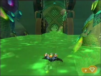 Comment s'appelle cette plante?