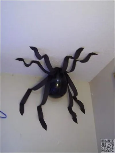 Comment dit-on "araignée" en espagnol ?