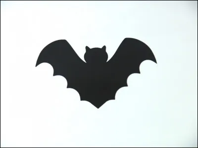 Comment dit-on "chauve-souris" en espagnol ?