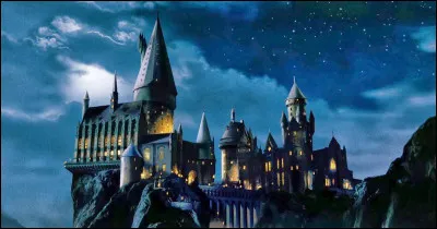 Qui est l'acteur principal dans "Harry Potter" ?