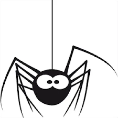 Comment dit-on "une araignée" en anglais ?