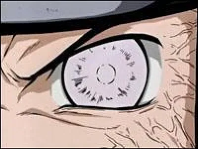 Quel est le nom du clan qui possède des Byakugan ?
