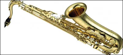 À quelle catégorie d'instruments, le saxophone appartient-il ?