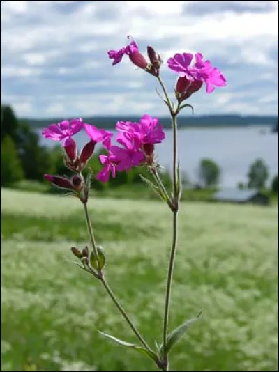 Pourquoi sont connus Guy Bourguignon, Jean-Louis Jaubert et Hubert Lancelot ?