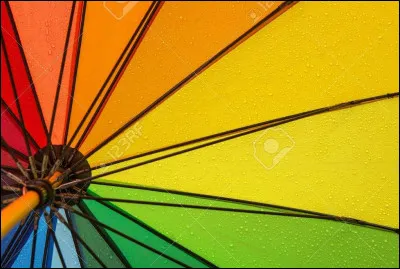 Le plus grand poisson vivant est...