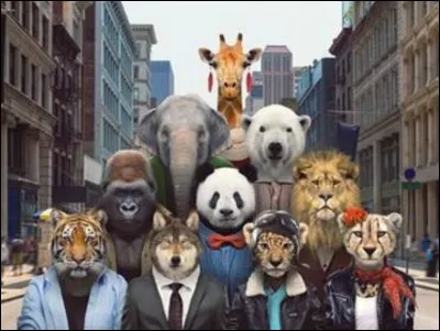 Quel est votre animal préféré (1) ?