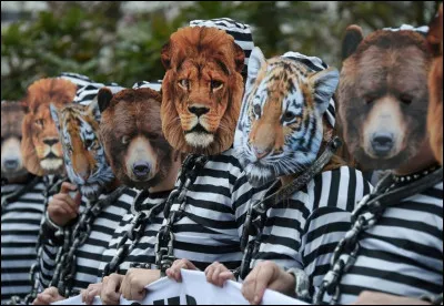 Quel est votre animal préféré (2) ?