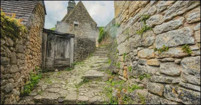 Où aimeriez-vous vivre ?