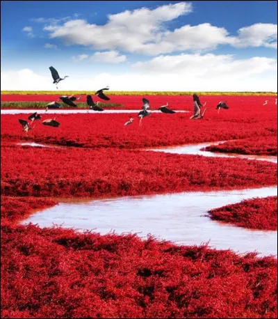 Quel paysage vous donne le plus envie ?