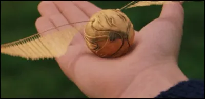 Au Quidditch, que fais-tu ?