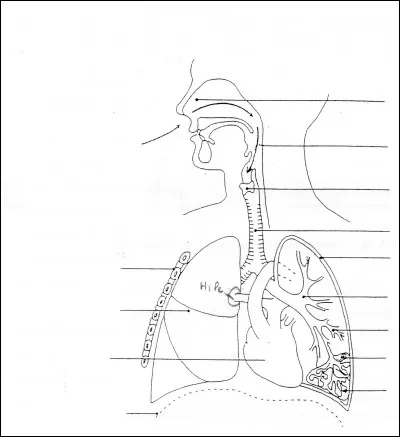 Nommez la 5e flèche à droite