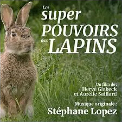 Quel est le "super pouvoir" du lapin ?